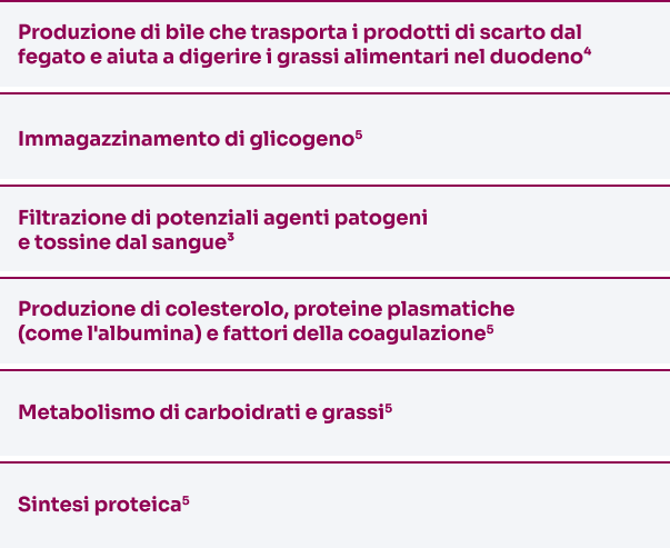 tabella su principali funzioni del fegato