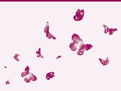 Farfalle fucsia su sfondo rosa