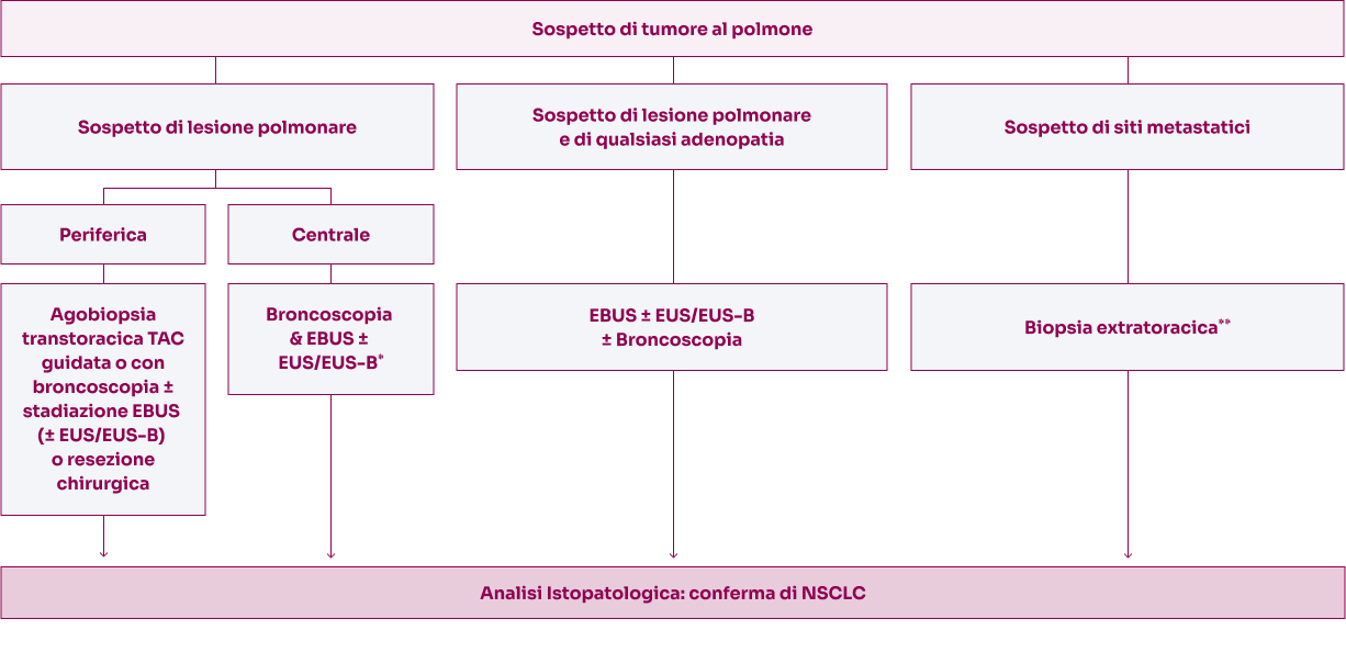 Diagnosi tissutale in caso di sospetto tumore al polmone