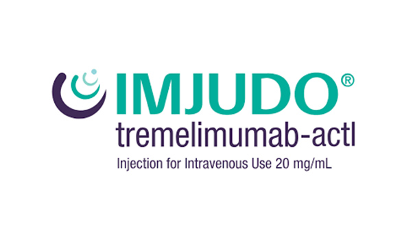 logo imjudo