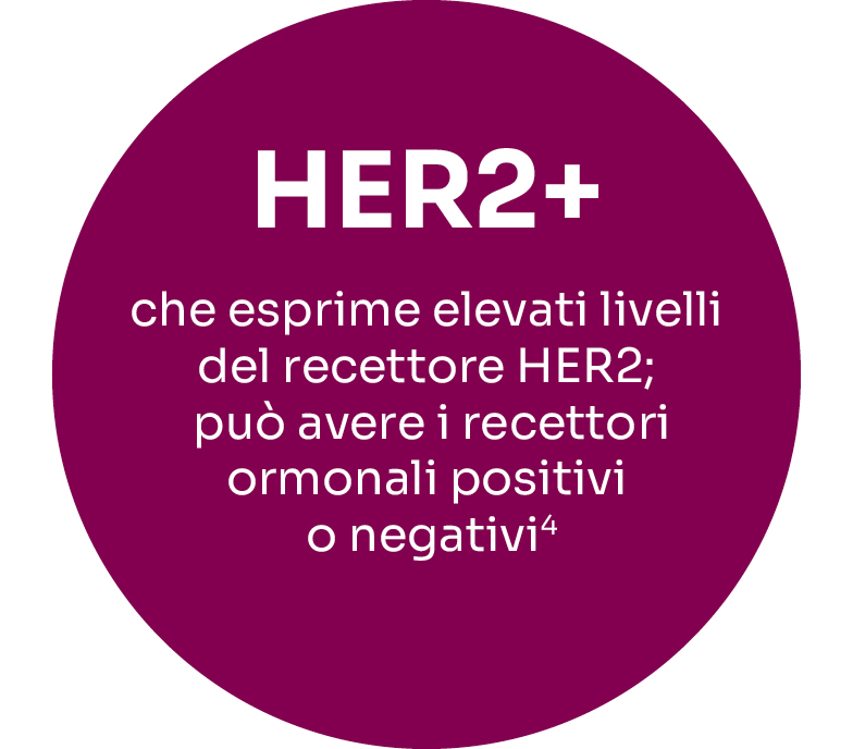 Descrizione sottotipo HER2+