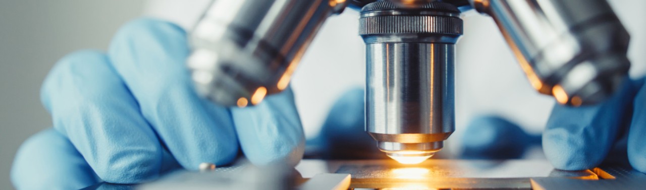Analisi al microscopio