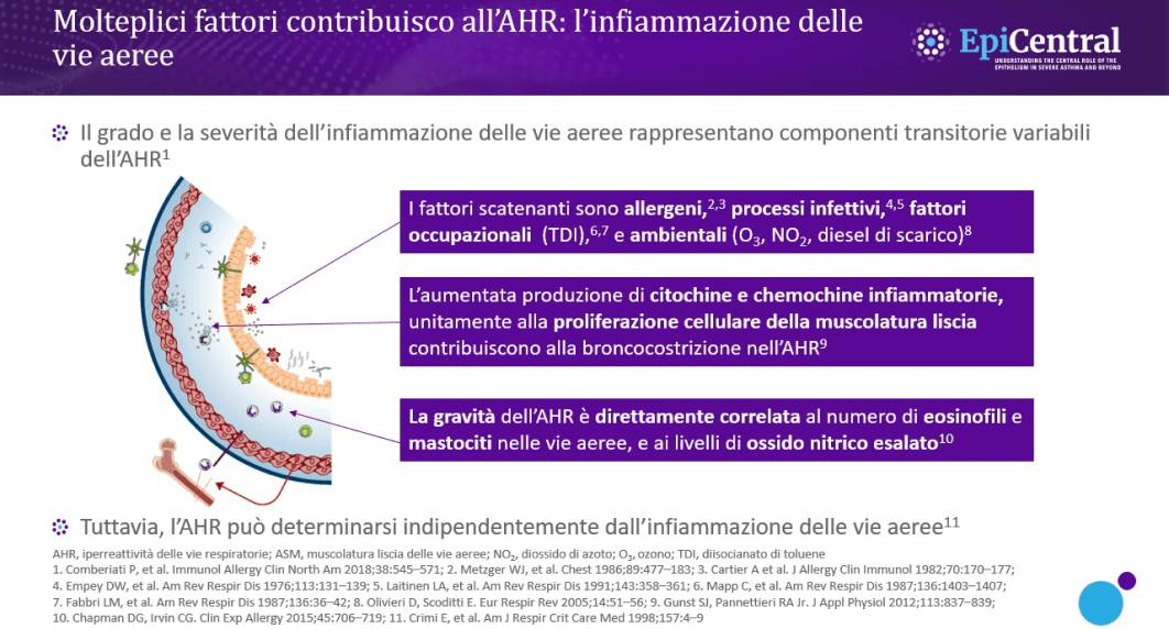 iperreattivitavierespiratorie2