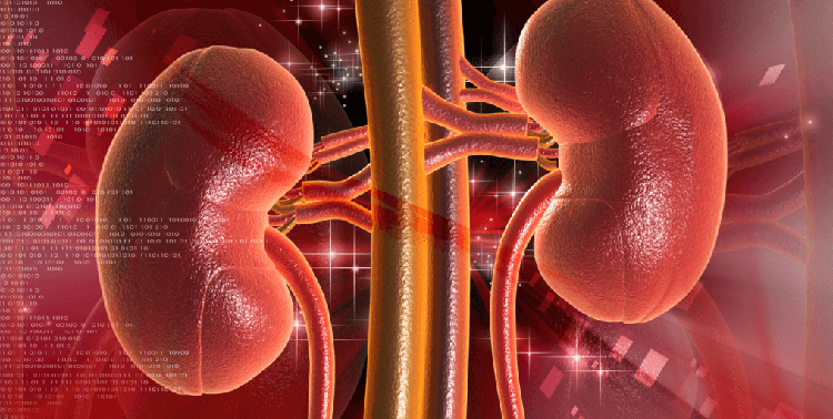 Rischiotumoreovarico