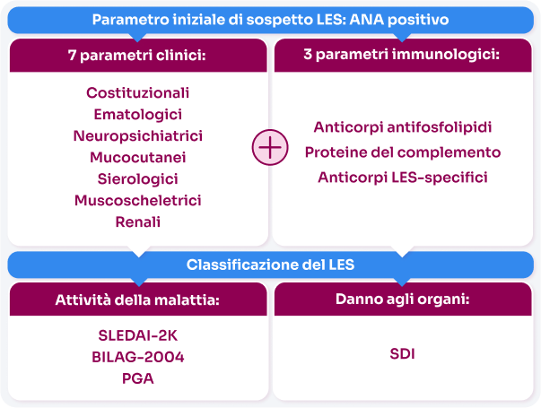 Info grafica su come diagnosticare il LES
