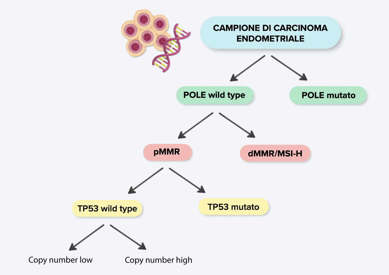 Classificazione molecolare ProMisE per i carcinomi endometriali 