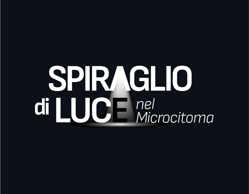 Spiraglio di luce nel microcitoma