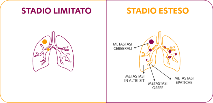 stadio_figura