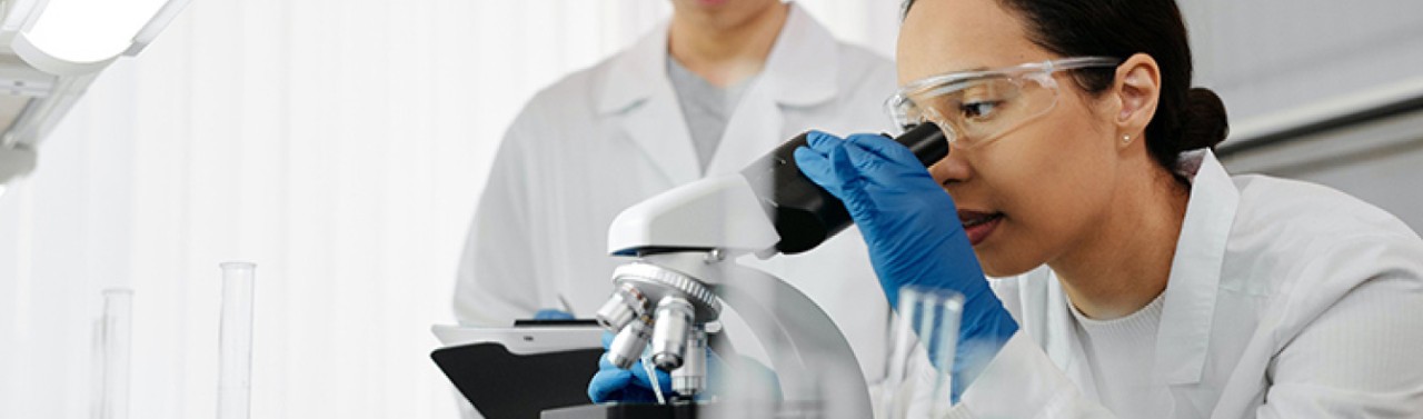 Ricercatori che analizzano al microscopio